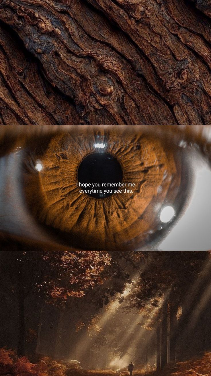 چوب و ارتباط بصری و احساسی با طبیعت